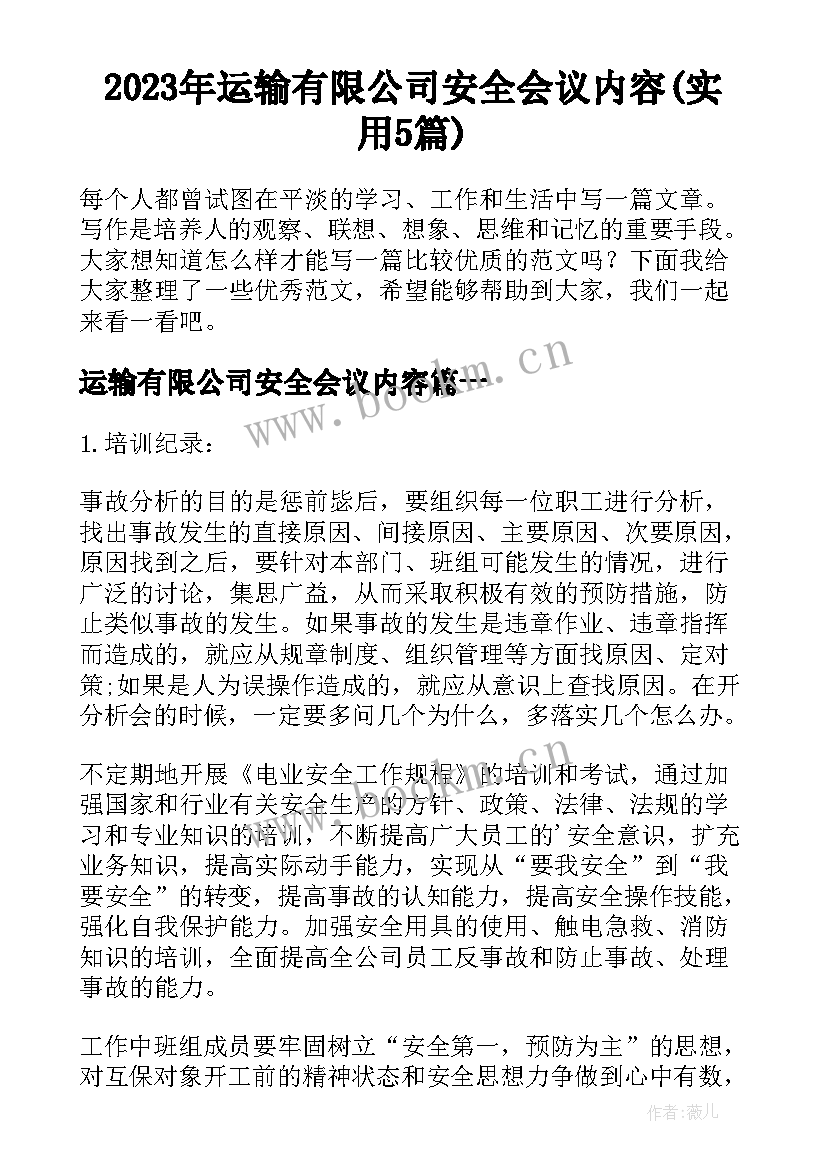 2023年运输有限公司安全会议内容(实用5篇)