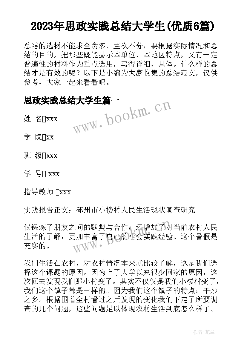 2023年思政实践总结大学生(优质6篇)