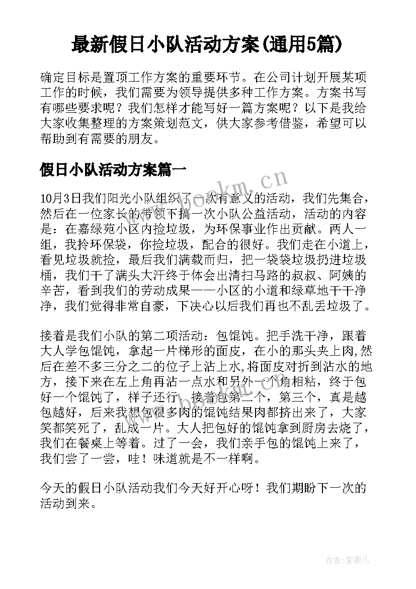 最新假日小队活动方案(通用5篇)