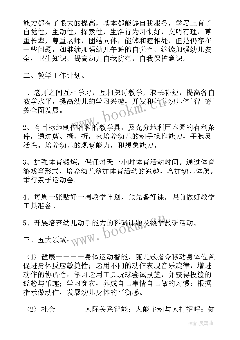 最新幼儿园五大领域教学计划大班 幼儿园中班五大领域教学计划(通用5篇)