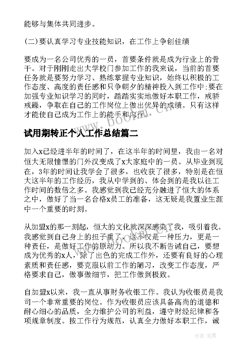 2023年试用期转正个人工作总结(实用9篇)