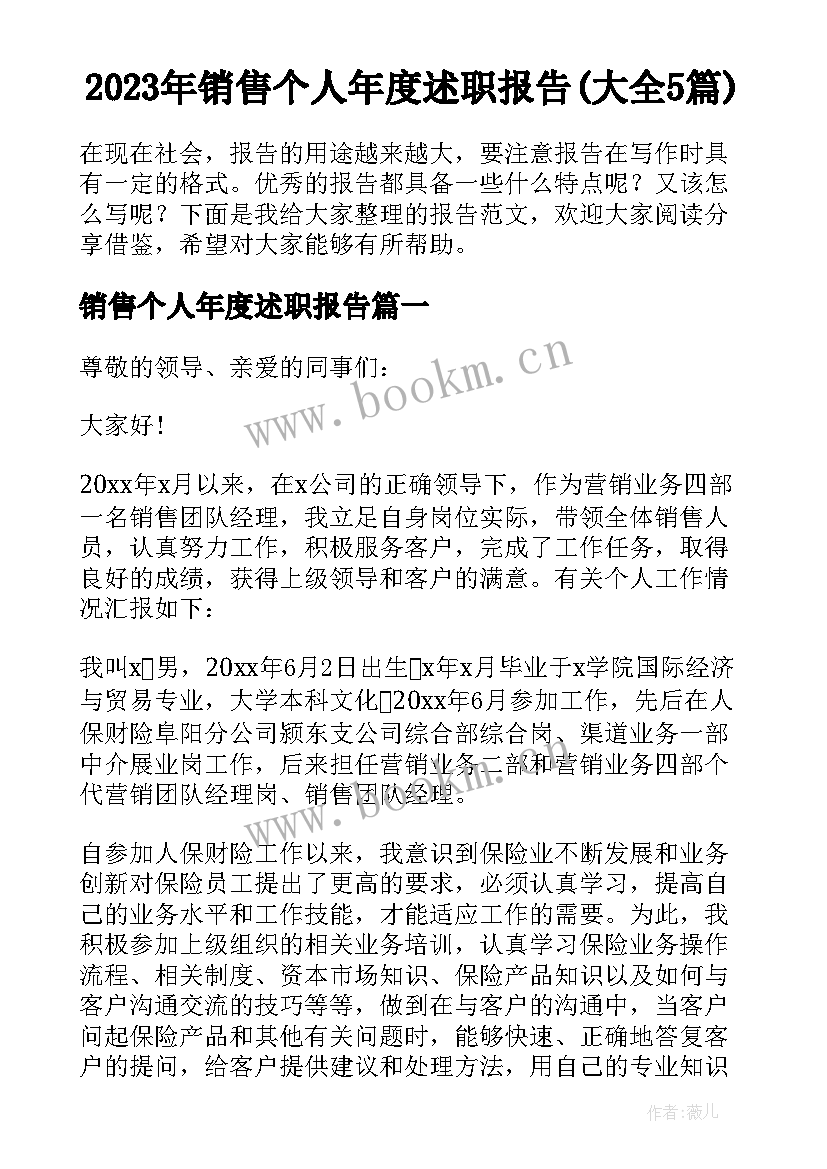 2023年销售个人年度述职报告(大全5篇)