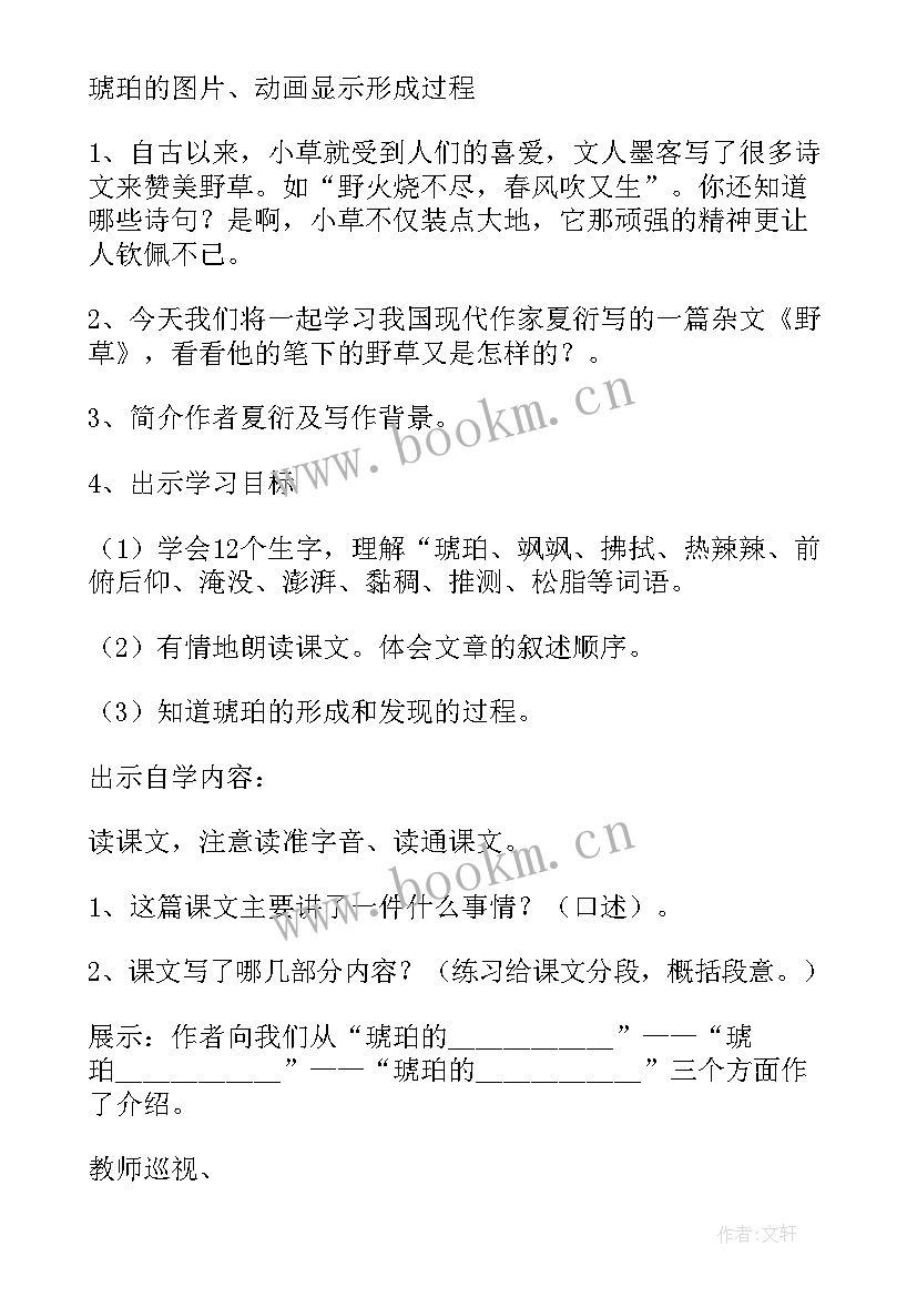 琥珀教学设计及反思 初中琥珀教学设计(优质5篇)