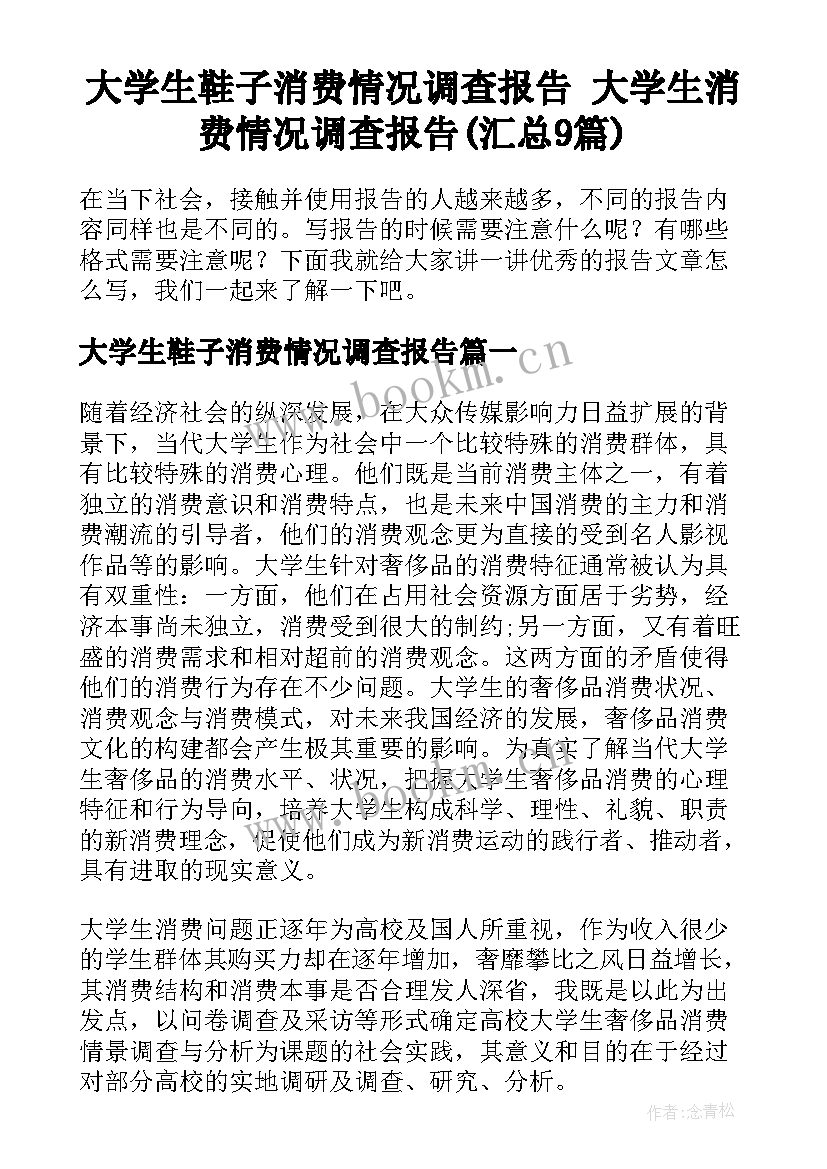 大学生鞋子消费情况调查报告 大学生消费情况调查报告(汇总9篇)