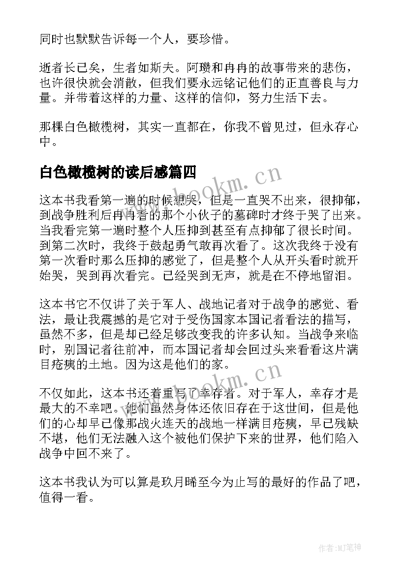 2023年白色橄榄树的读后感(汇总5篇)