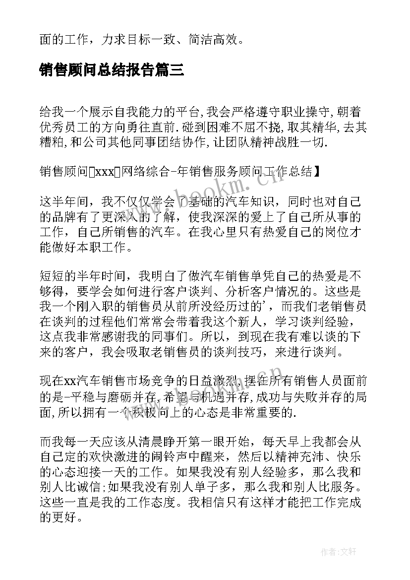 2023年销售顾问总结报告(模板9篇)