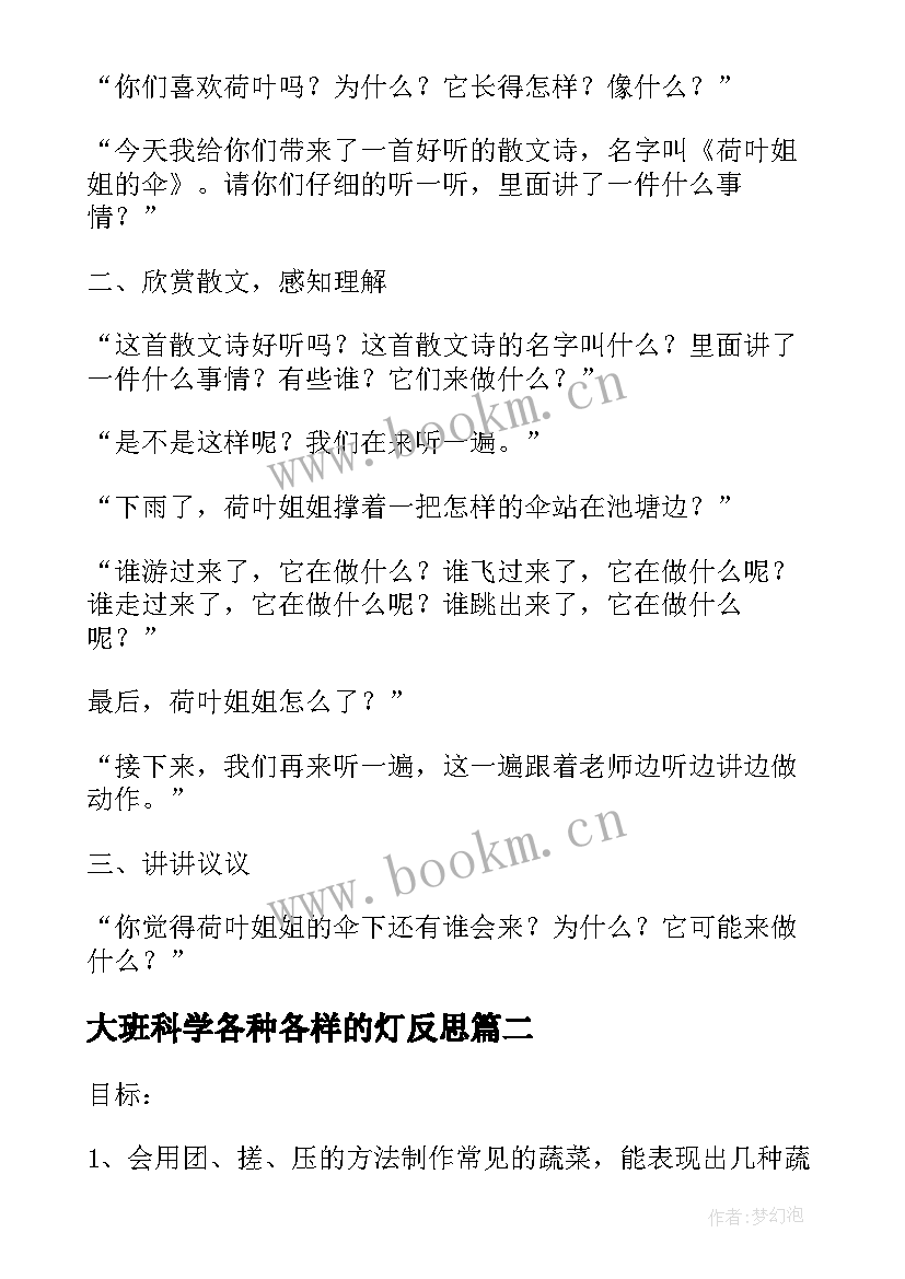 大班科学各种各样的灯反思 大班科学各种各样的伞教案及反思(大全5篇)