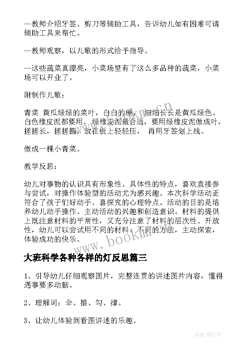 大班科学各种各样的灯反思 大班科学各种各样的伞教案及反思(大全5篇)