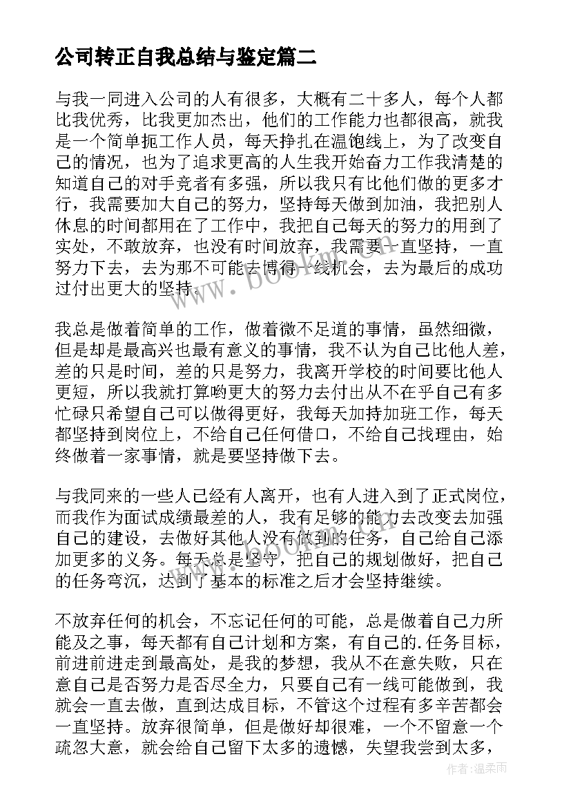 公司转正自我总结与鉴定(实用5篇)