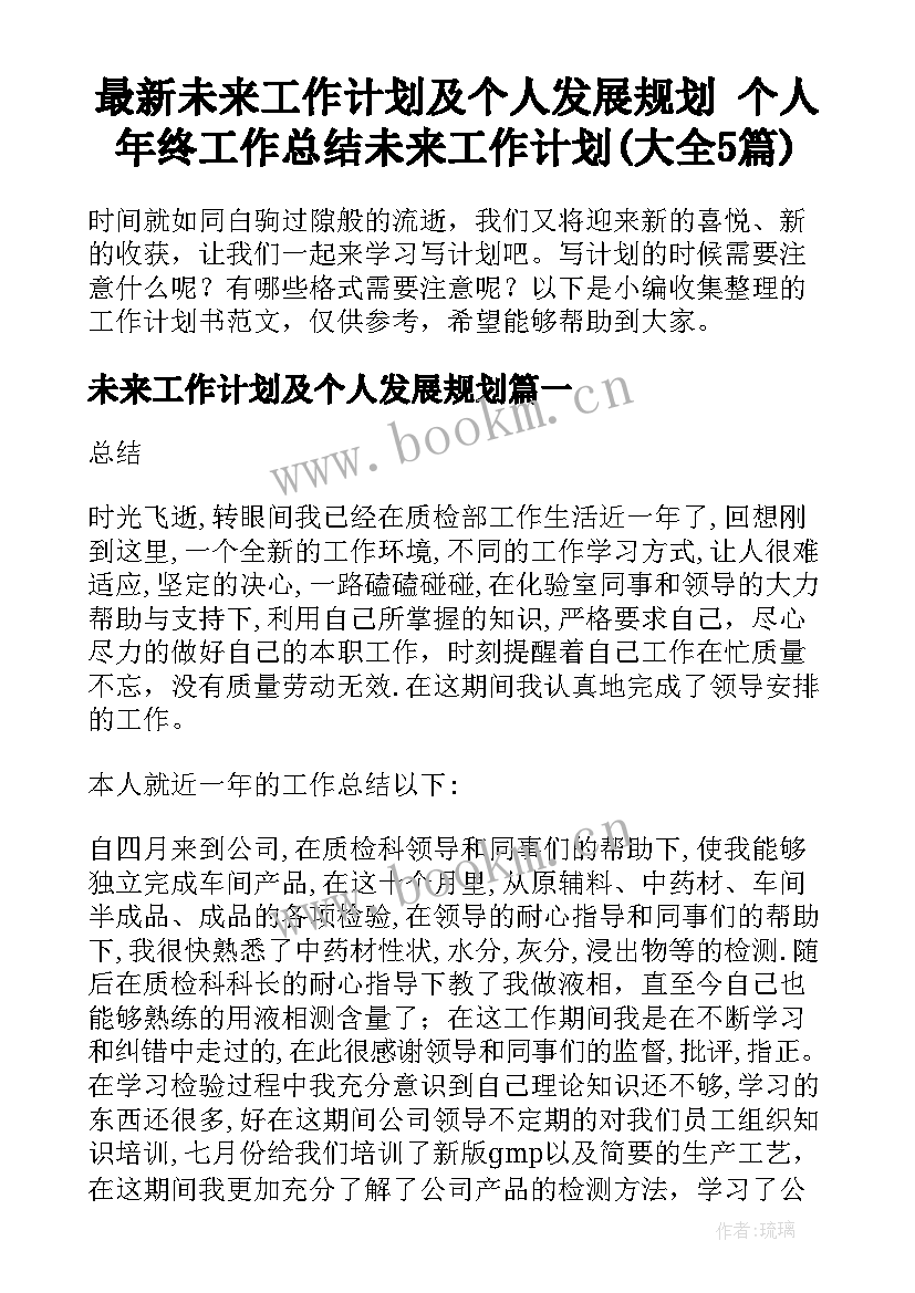 最新未来工作计划及个人发展规划 个人年终工作总结未来工作计划(大全5篇)