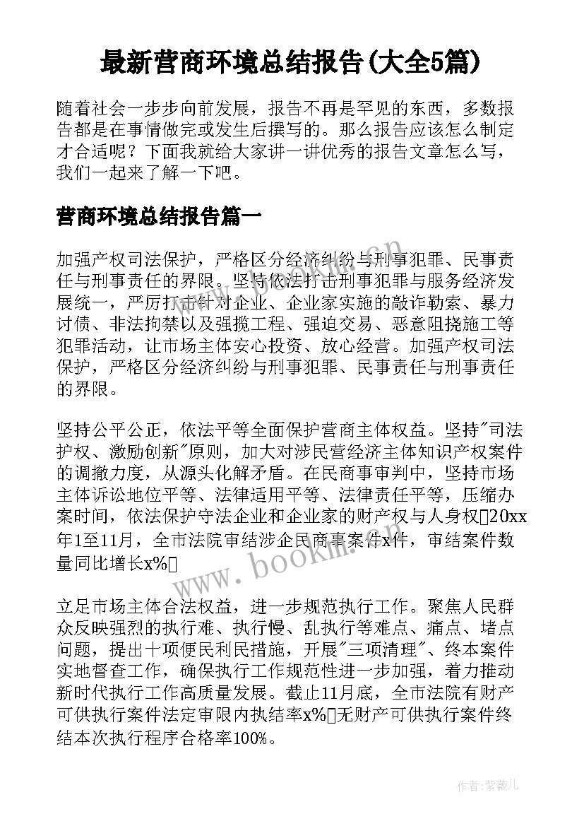 最新营商环境总结报告(大全5篇)