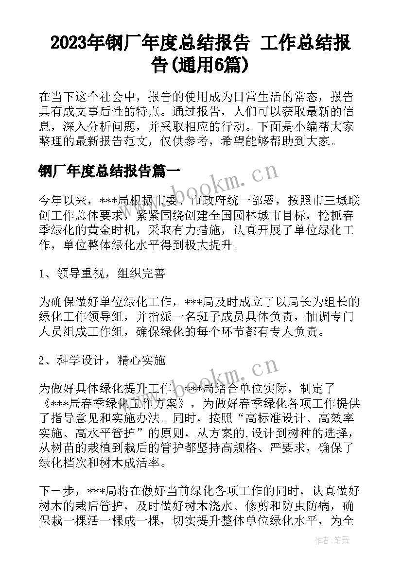 2023年钢厂年度总结报告 工作总结报告(通用6篇)