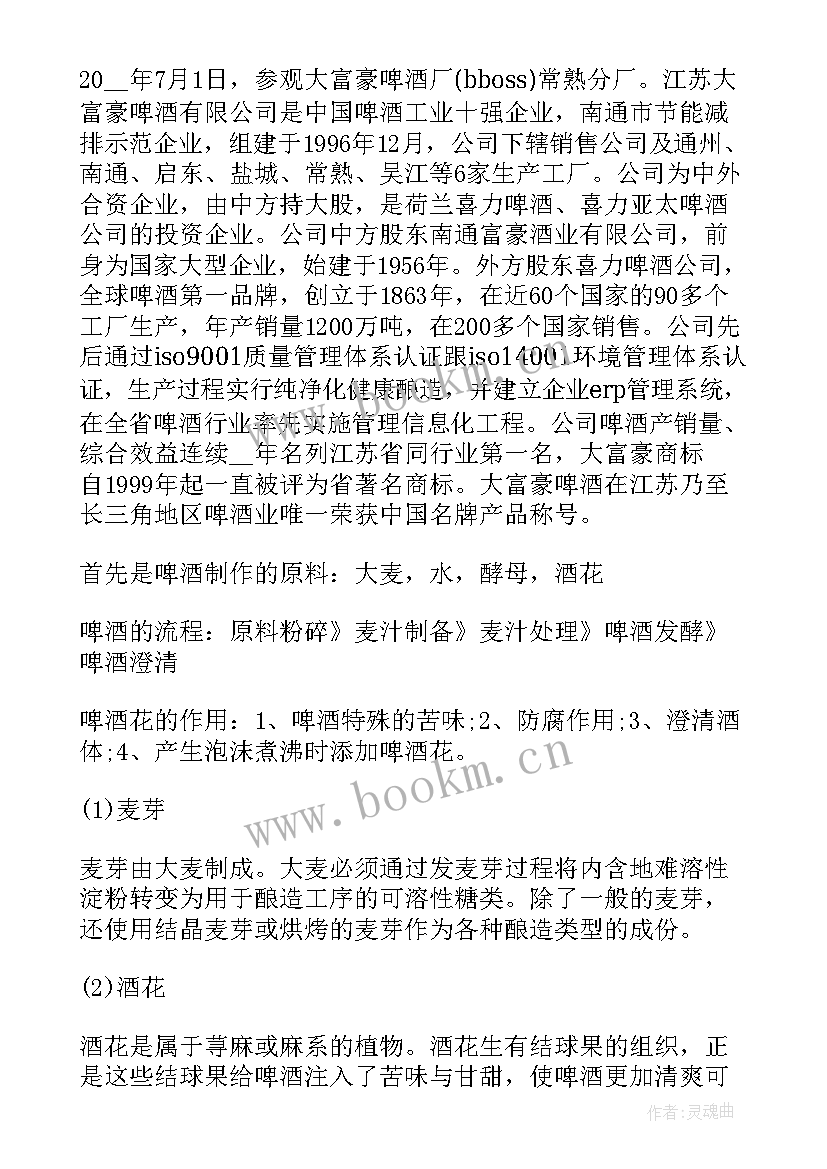 啤酒厂酿造实训总结 啤酒厂的实习报告(大全5篇)