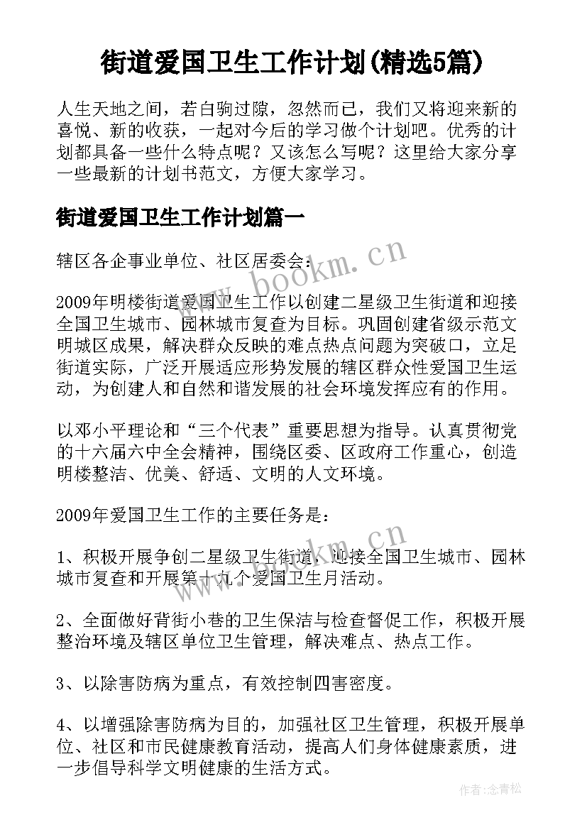 街道爱国卫生工作计划(精选5篇)