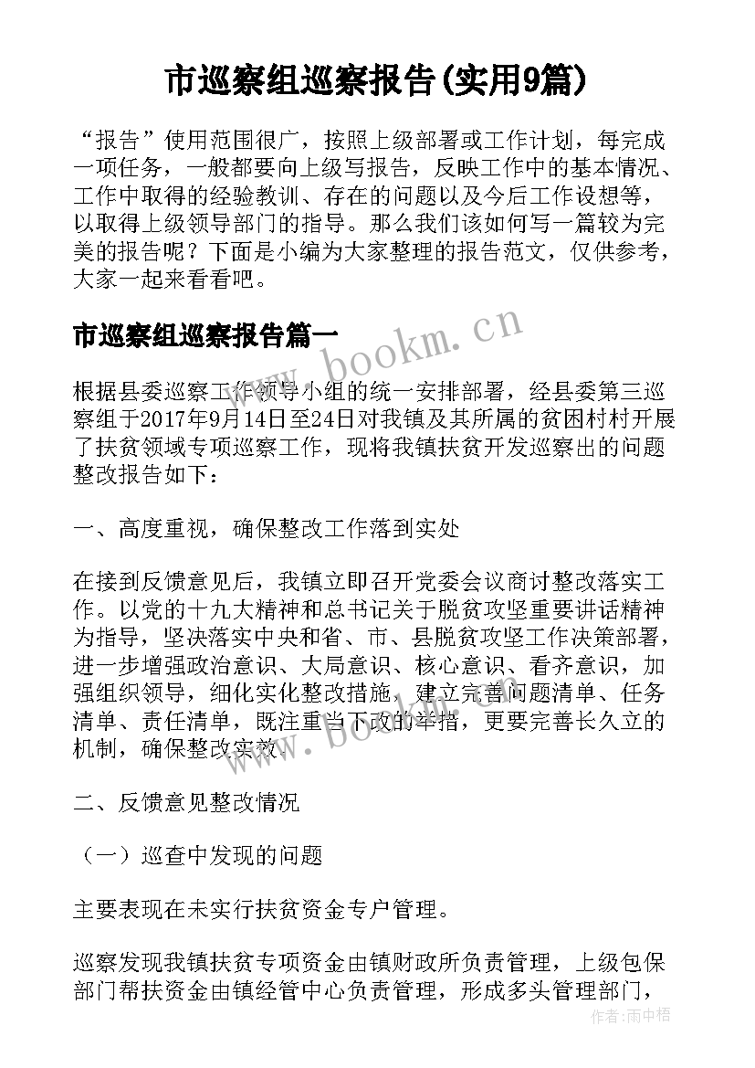 市巡察组巡察报告(实用9篇)