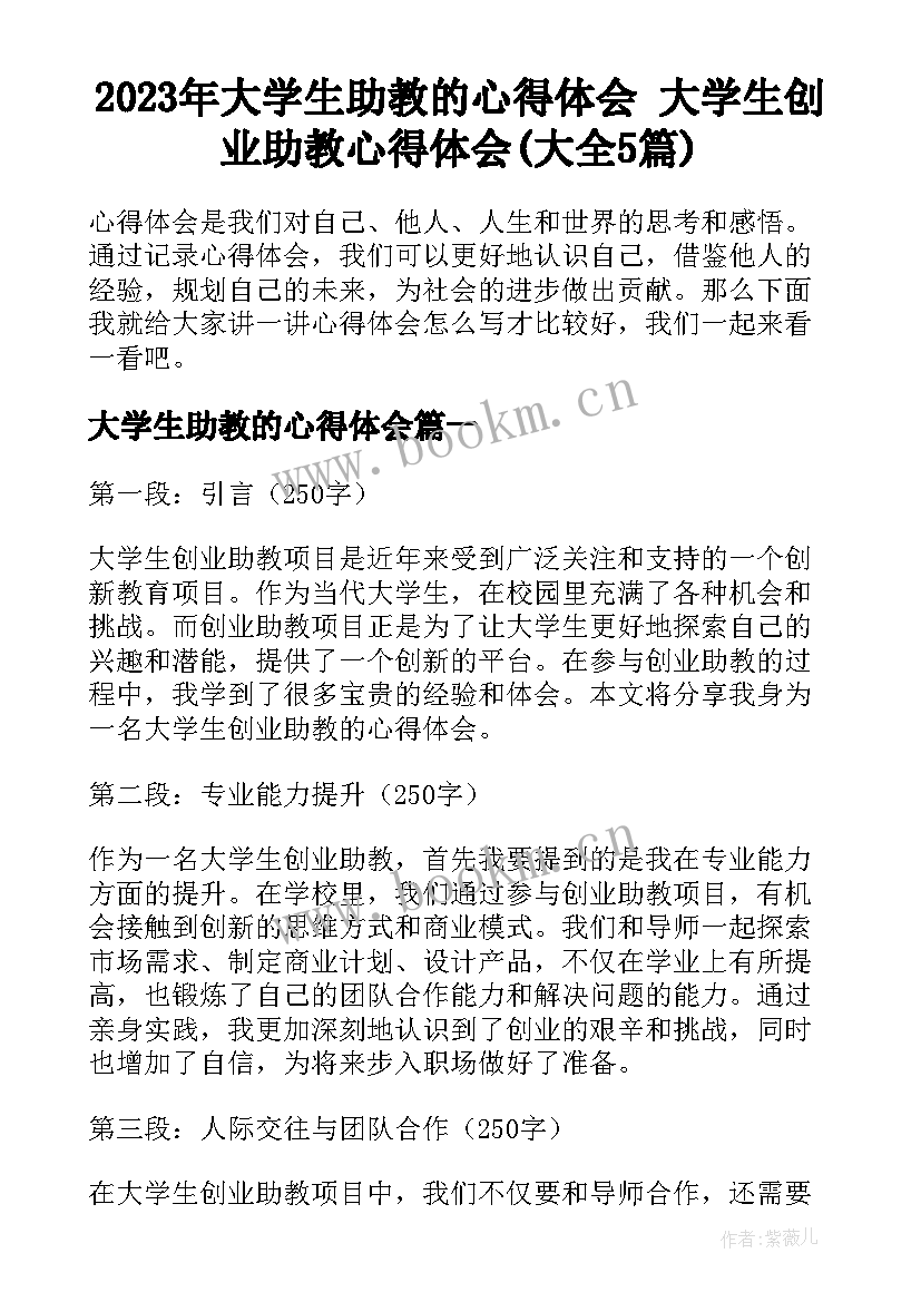 2023年大学生助教的心得体会 大学生创业助教心得体会(大全5篇)