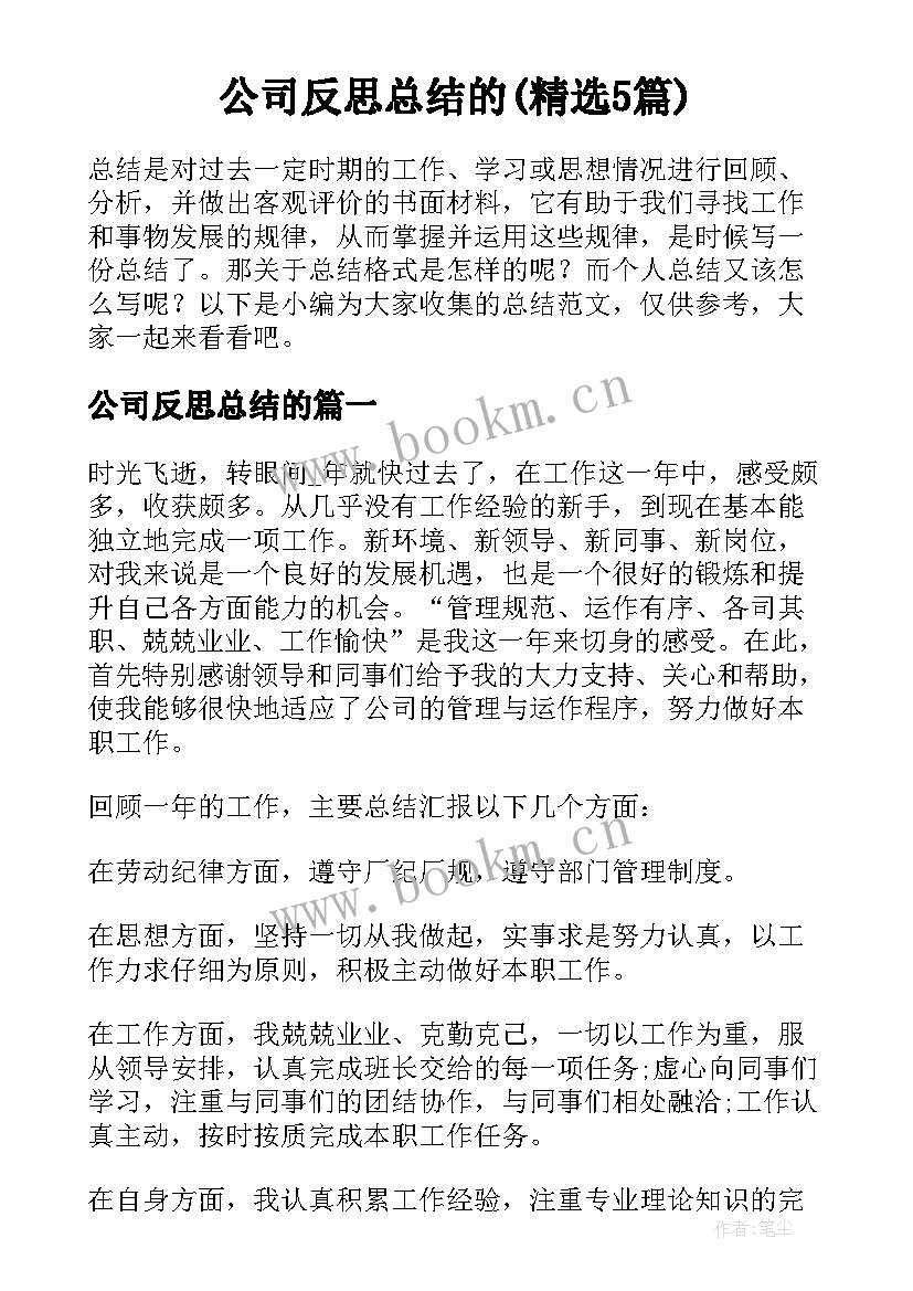 公司反思总结的(精选5篇)