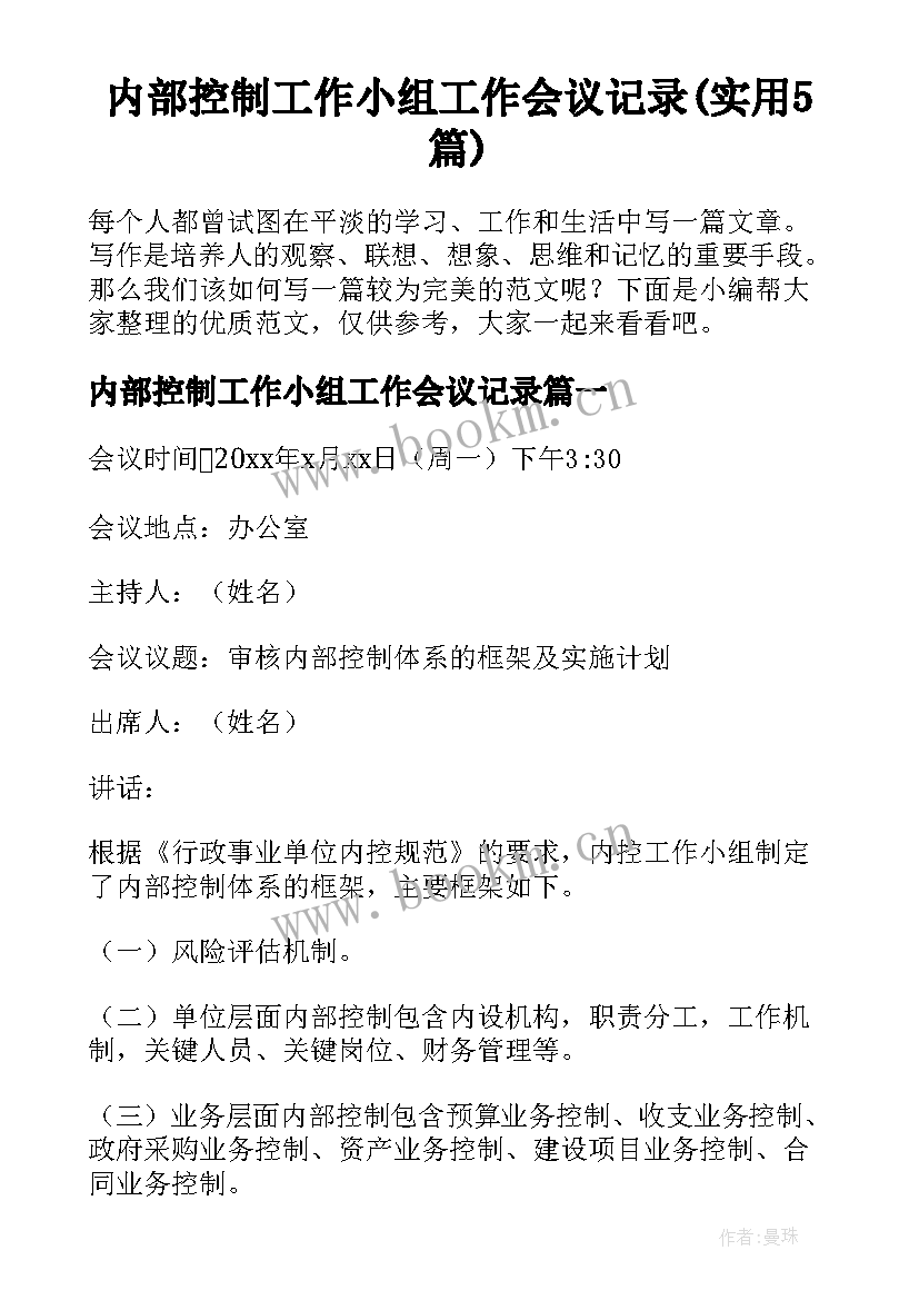 内部控制工作小组工作会议记录(实用5篇)