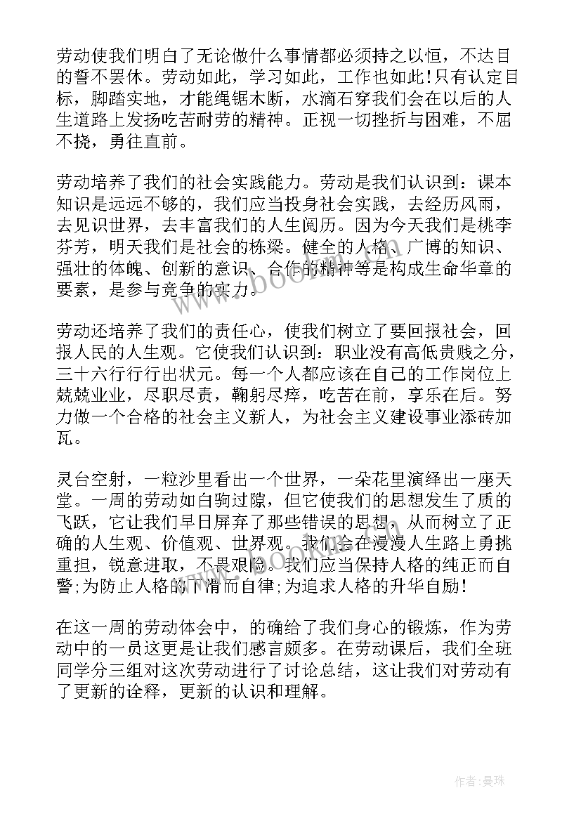 2023年大学劳动周个人劳动总结(实用5篇)