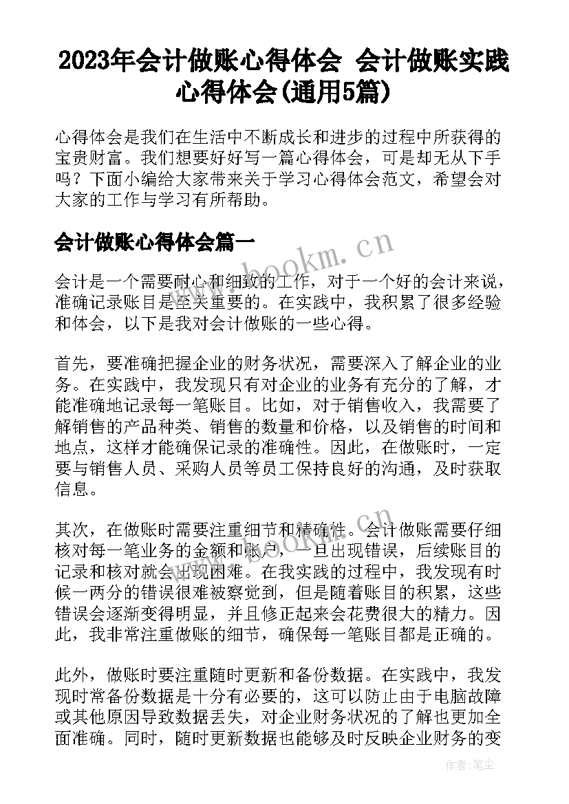 2023年会计做账心得体会 会计做账实践心得体会(通用5篇)