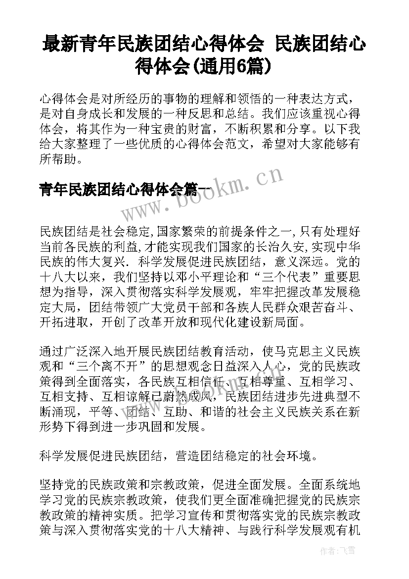 最新青年民族团结心得体会 民族团结心得体会(通用6篇)