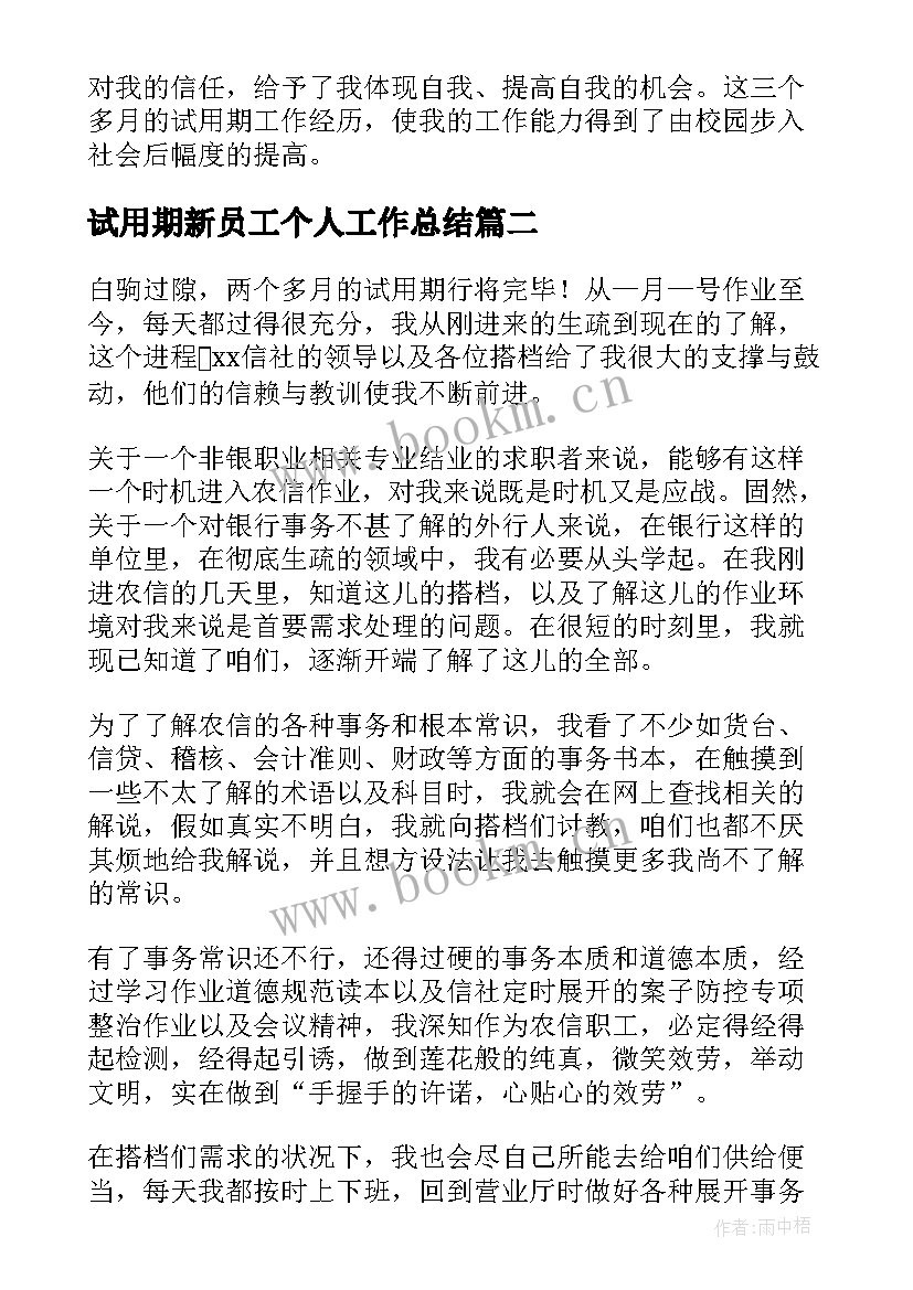 最新试用期新员工个人工作总结(汇总6篇)