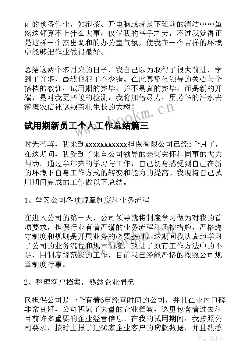 最新试用期新员工个人工作总结(汇总6篇)