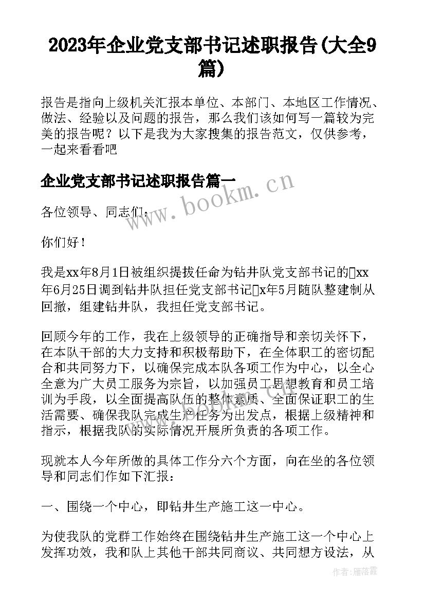 2023年企业党支部书记述职报告(大全9篇)