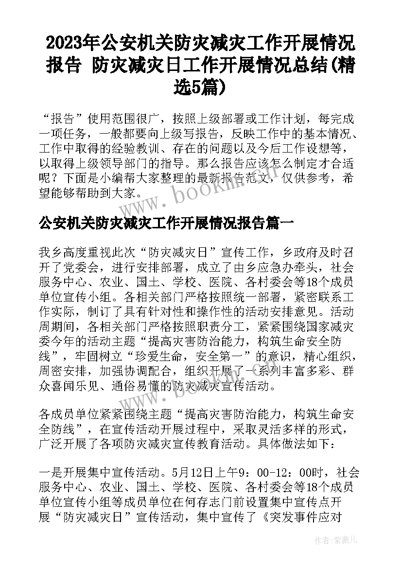 2023年公安机关防灾减灾工作开展情况报告 防灾减灾日工作开展情况总结(精选5篇)