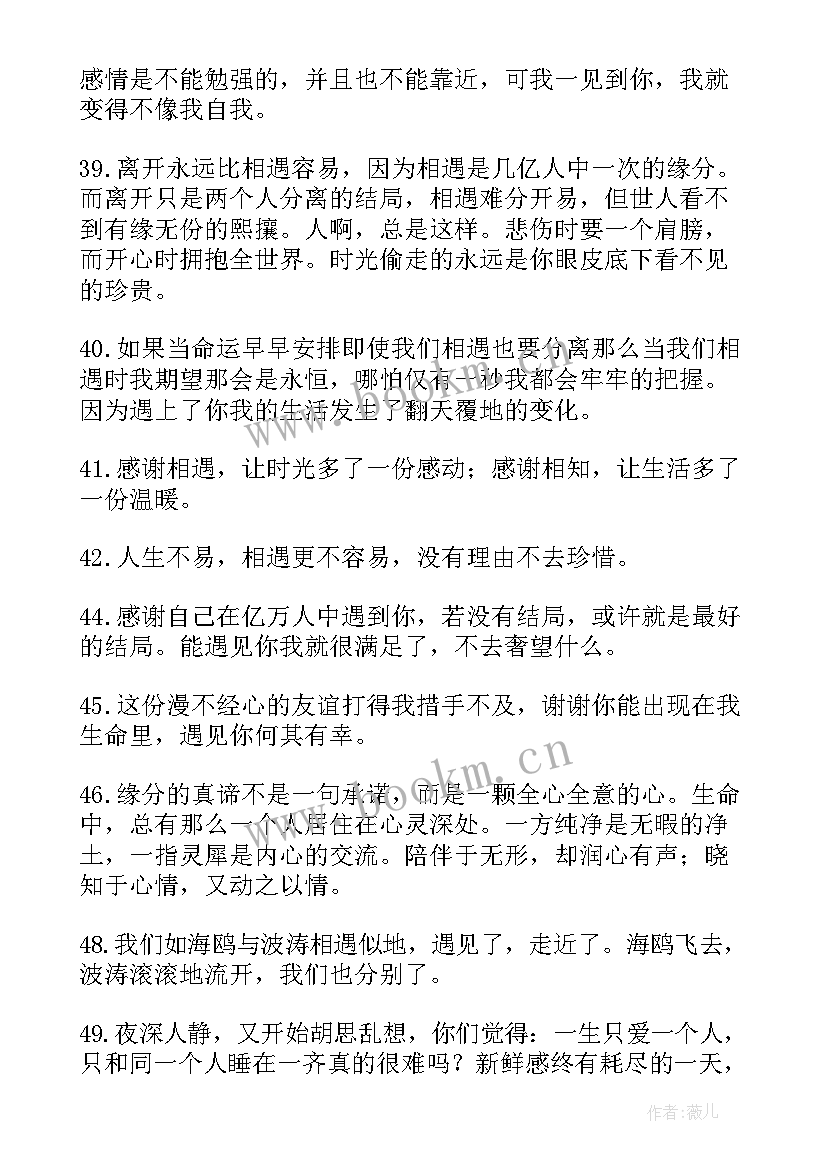 感恩相遇不负遇见的暖心句子 感恩相遇的句子(实用7篇)