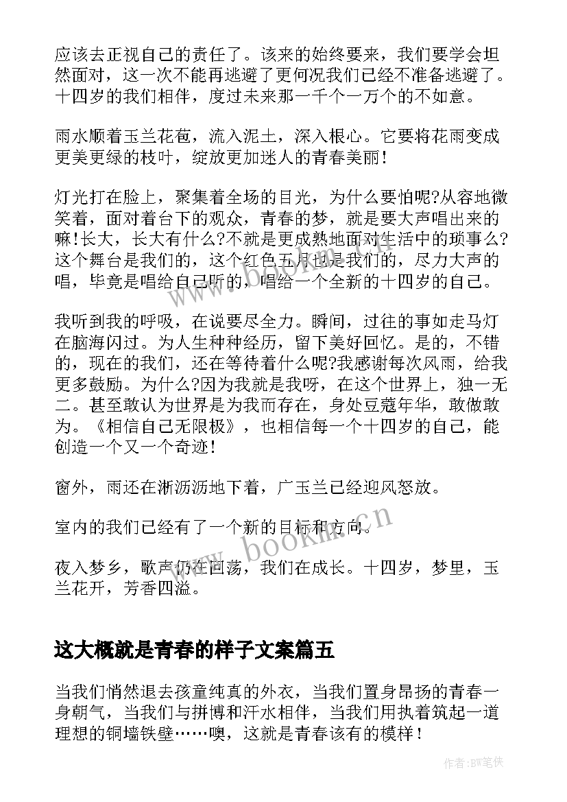 这大概就是青春的样子文案(大全5篇)