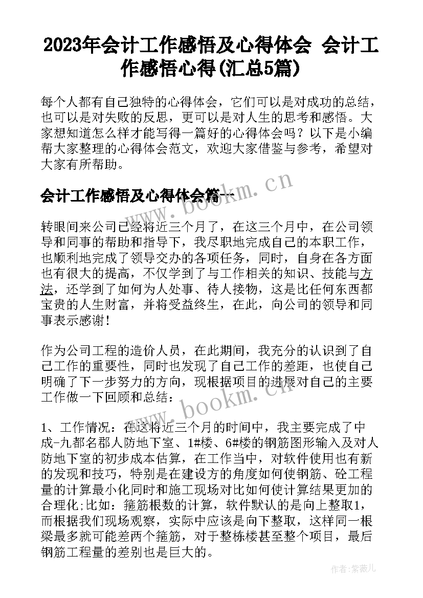 2023年会计工作感悟及心得体会 会计工作感悟心得(汇总5篇)