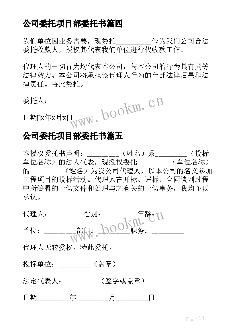 2023年公司委托项目部委托书 公司项目委托书(大全5篇)