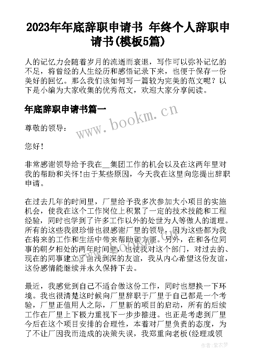 2023年年底辞职申请书 年终个人辞职申请书(模板5篇)