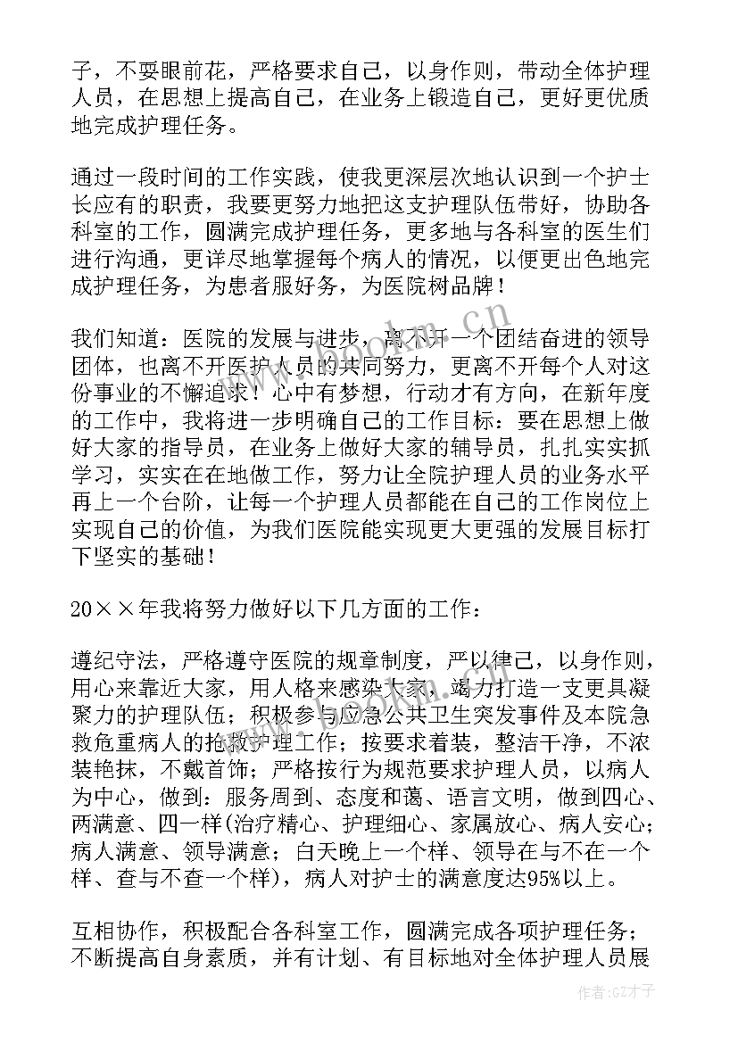 2023年实用护士年终个人述职报告总结 护士个人年终述职报告(汇总9篇)