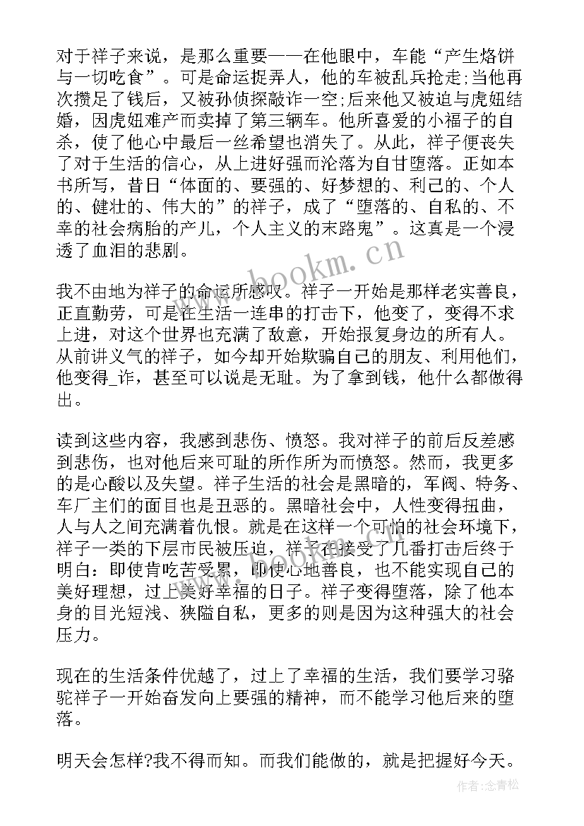 2023年七年级骆驼祥子读后感(优质5篇)