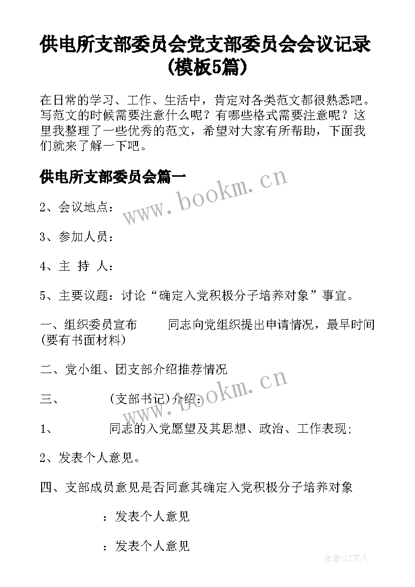 供电所支部委员会 党支部委员会会议记录(模板5篇)