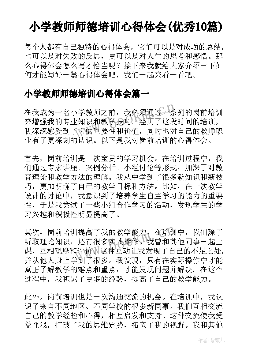 小学教师师德培训心得体会(优秀10篇)