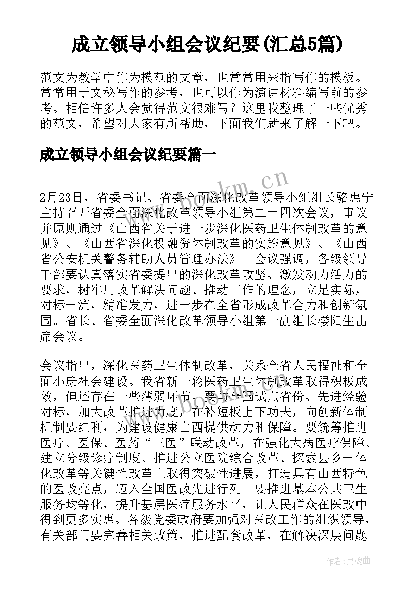 成立领导小组会议纪要(汇总5篇)