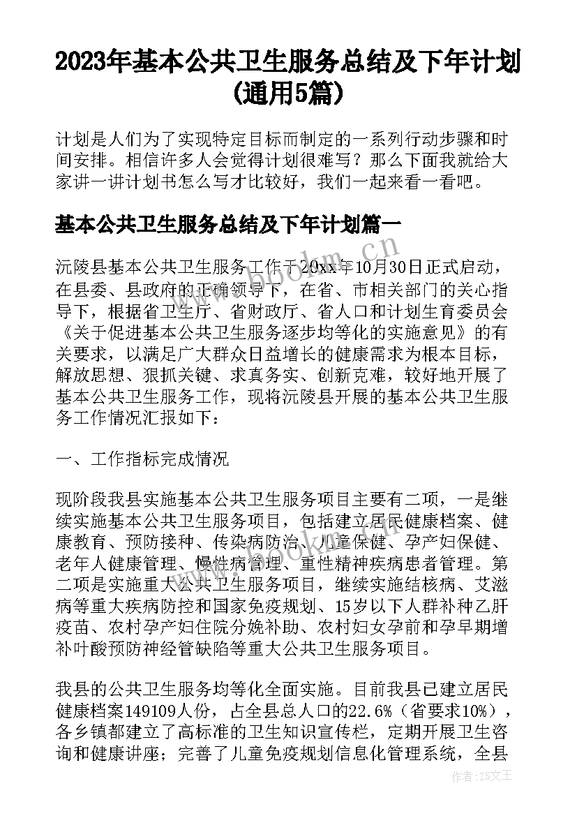 2023年基本公共卫生服务总结及下年计划(通用5篇)