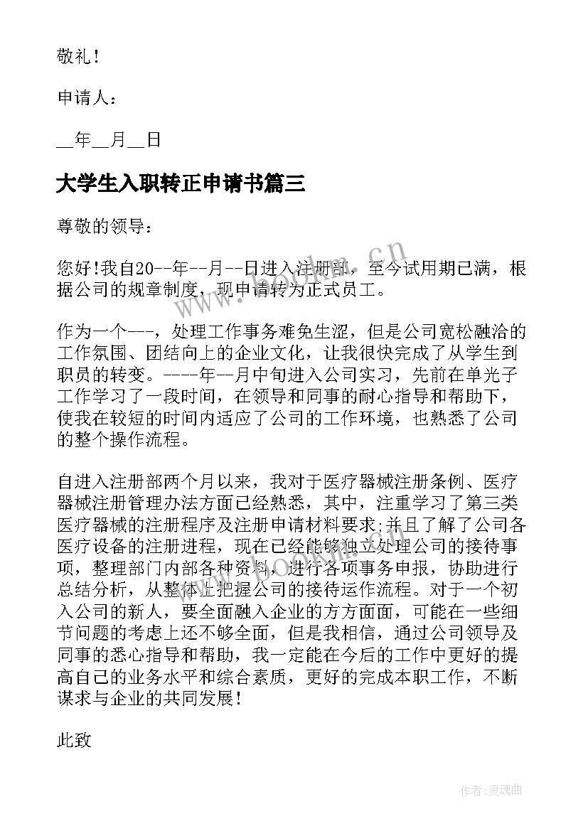 2023年大学生入职转正申请书 入职转正申请书入职转正申请书(精选6篇)