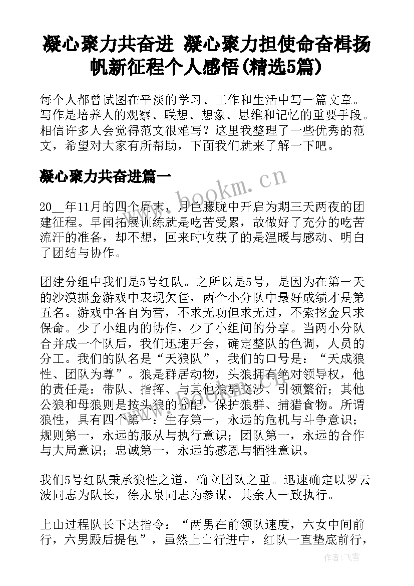 凝心聚力共奋进 凝心聚力担使命奋楫扬帆新征程个人感悟(精选5篇)