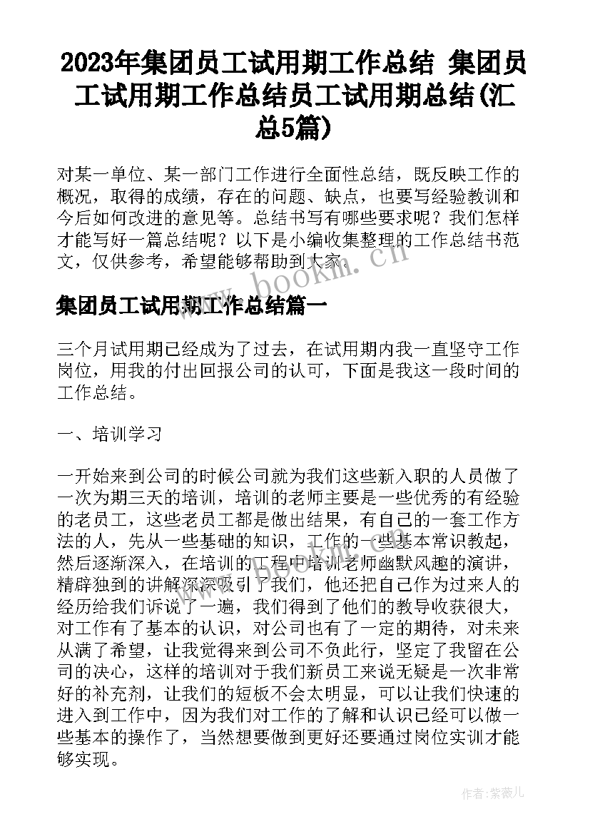 2023年集团员工试用期工作总结 集团员工试用期工作总结员工试用期总结(汇总5篇)