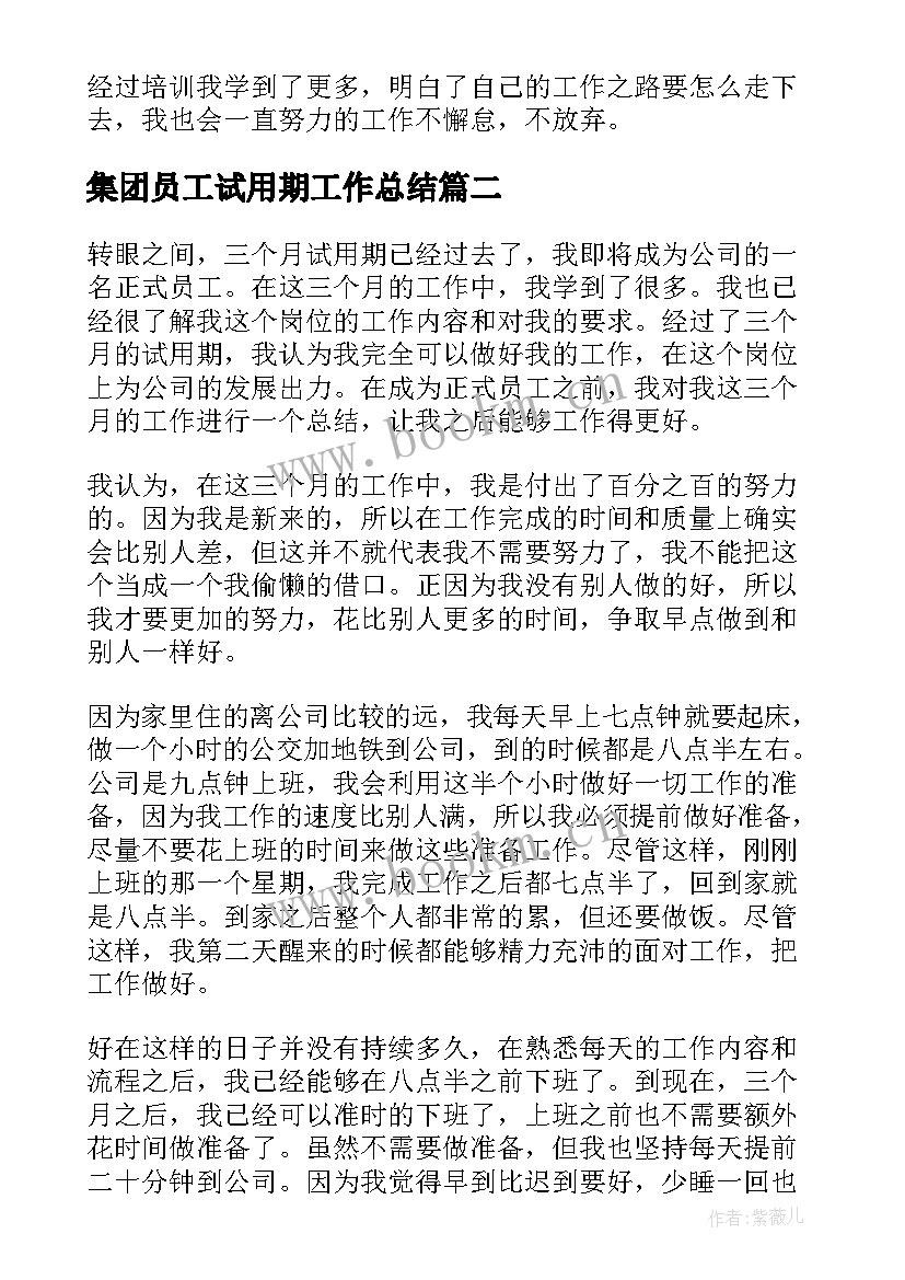 2023年集团员工试用期工作总结 集团员工试用期工作总结员工试用期总结(汇总5篇)