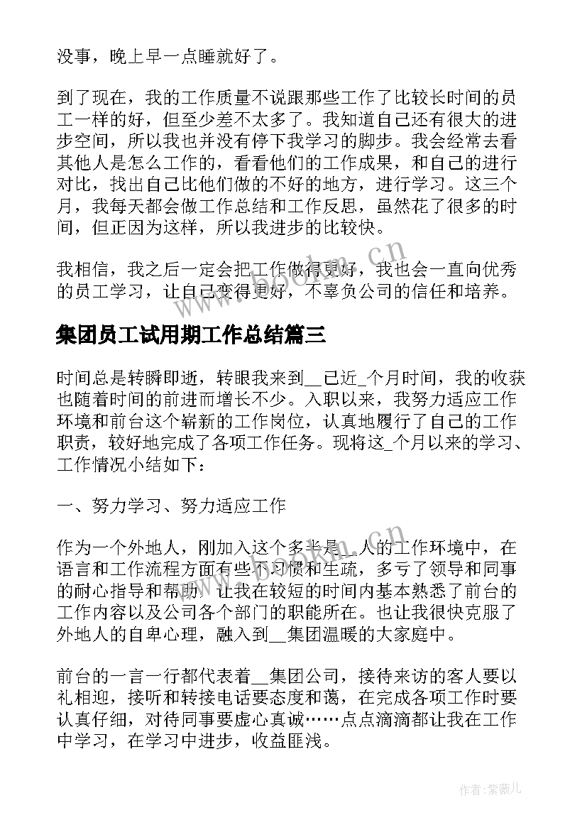 2023年集团员工试用期工作总结 集团员工试用期工作总结员工试用期总结(汇总5篇)