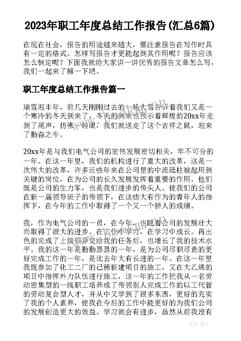 2023年职工年度总结工作报告(汇总6篇)