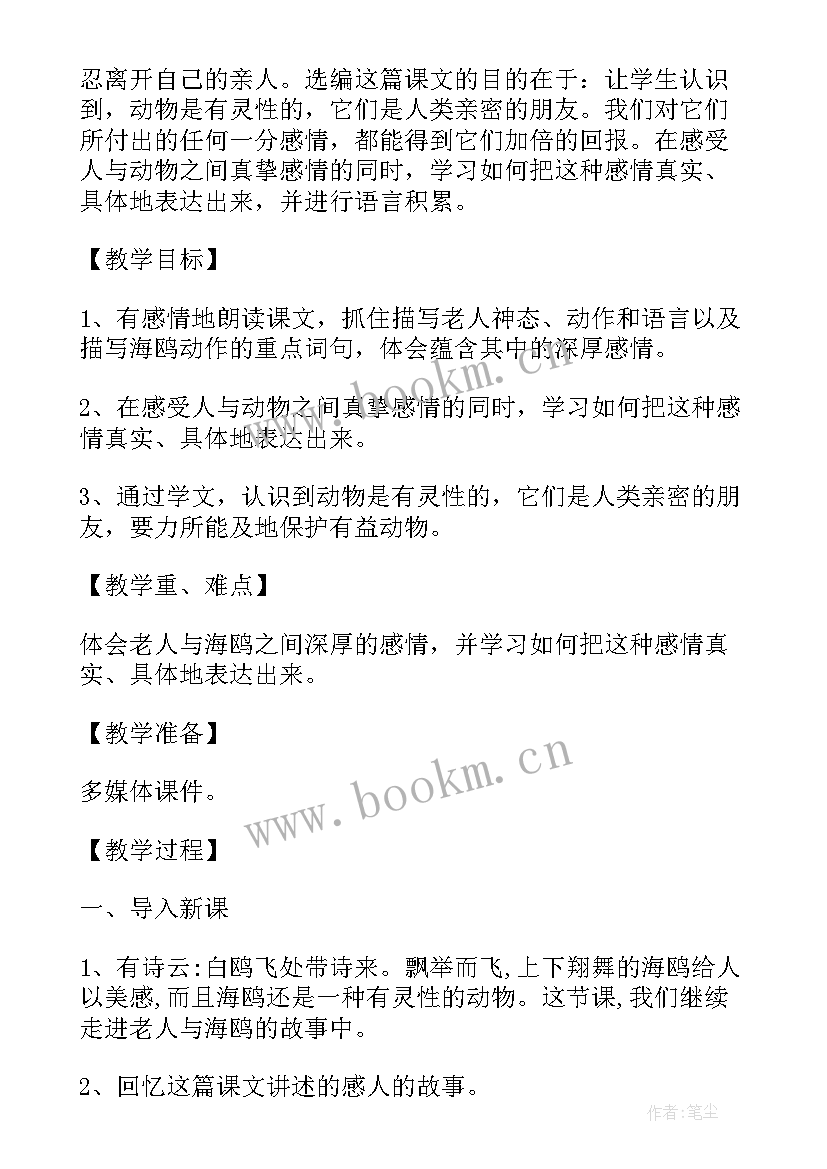 2023年老人与海公开课教案(模板7篇)