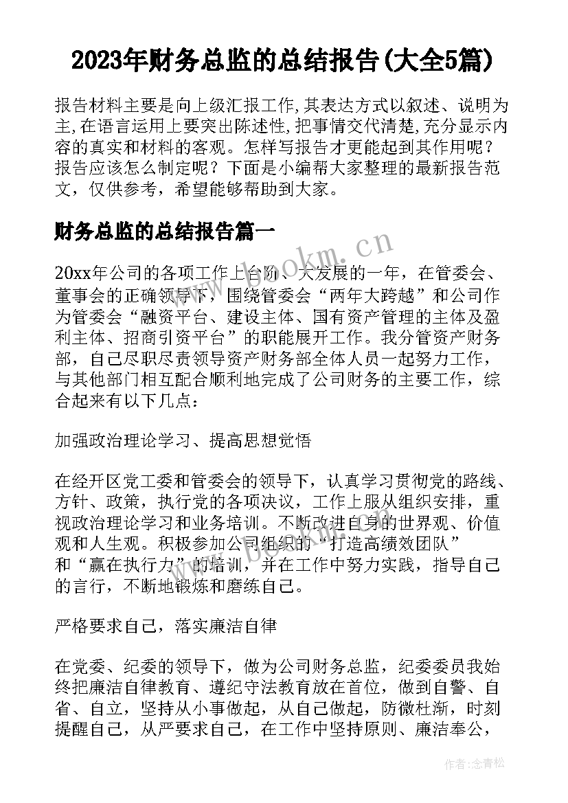 2023年财务总监的总结报告(大全5篇)