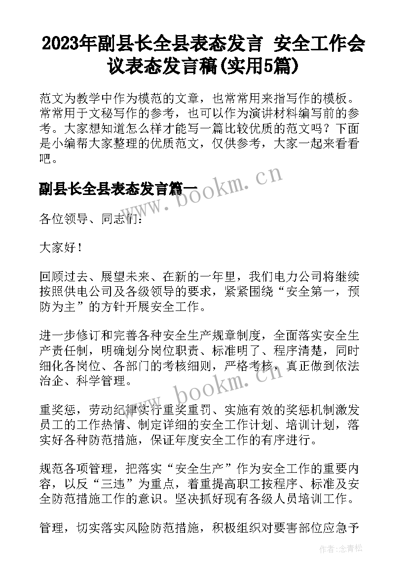 2023年副县长全县表态发言 安全工作会议表态发言稿(实用5篇)