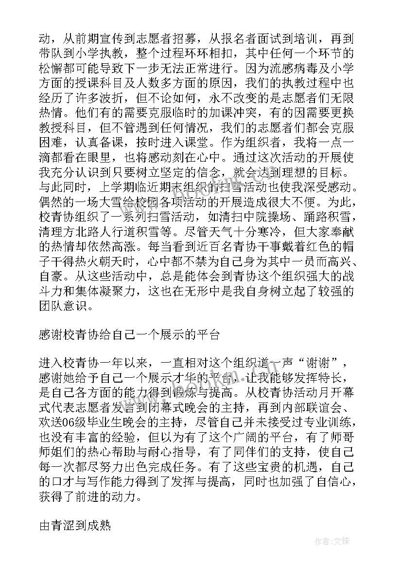 青年志愿者协会总结和计划(实用10篇)